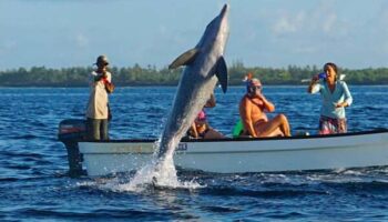 Wasini Islands