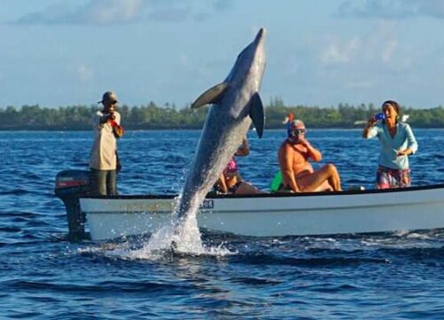 Wasini Islands