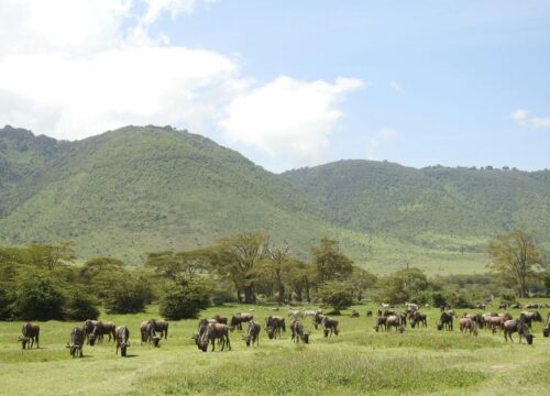 Ngorongoro Conservation Park