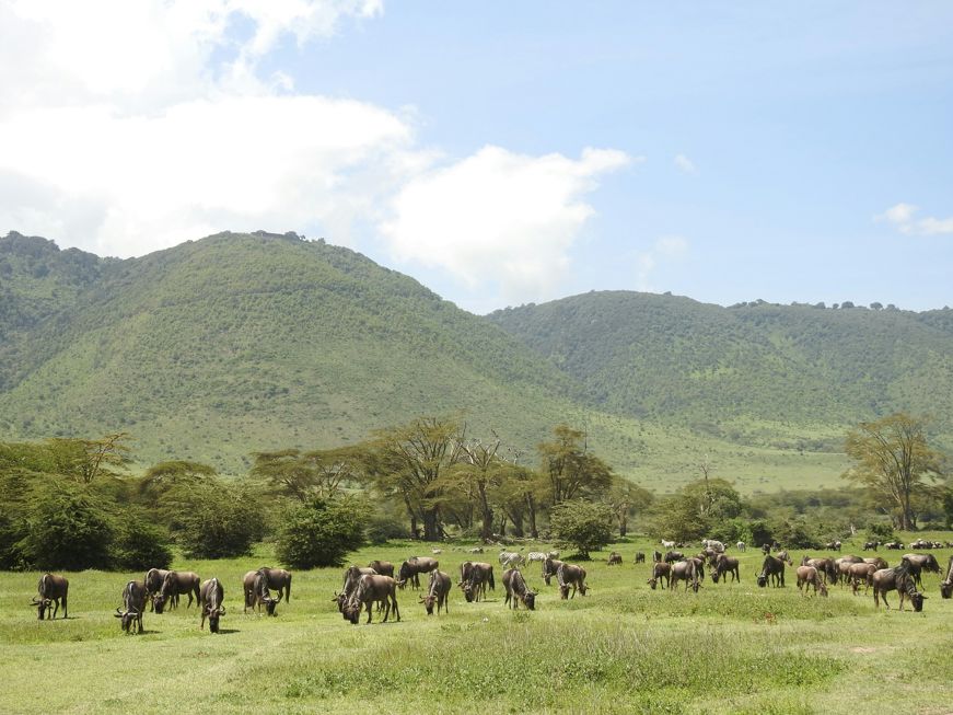 Ngorongoro Conservation Park