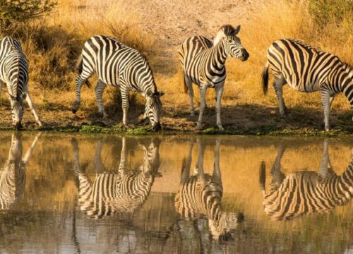 Kruger National Park