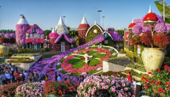 Miracle Garden