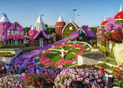 Miracle Garden