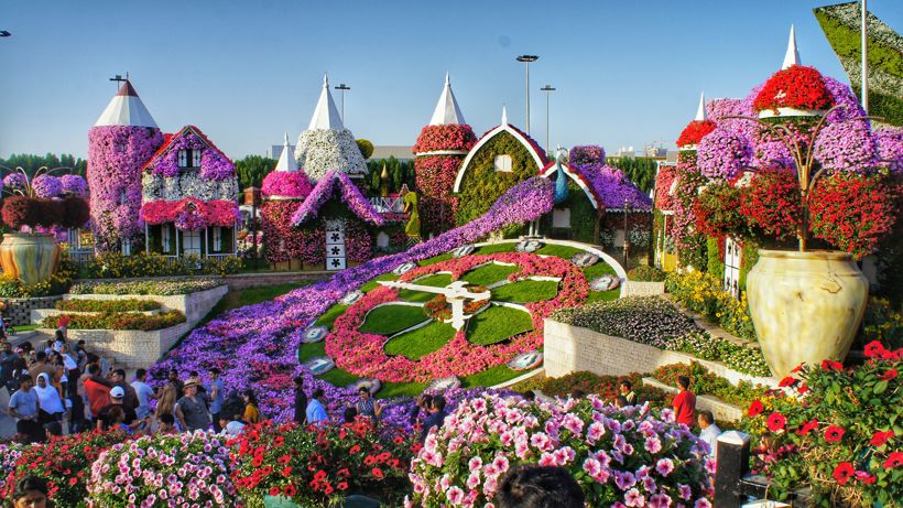 Miracle Garden