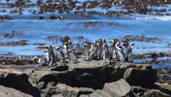 Robben Island