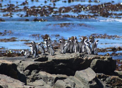 Robben Island