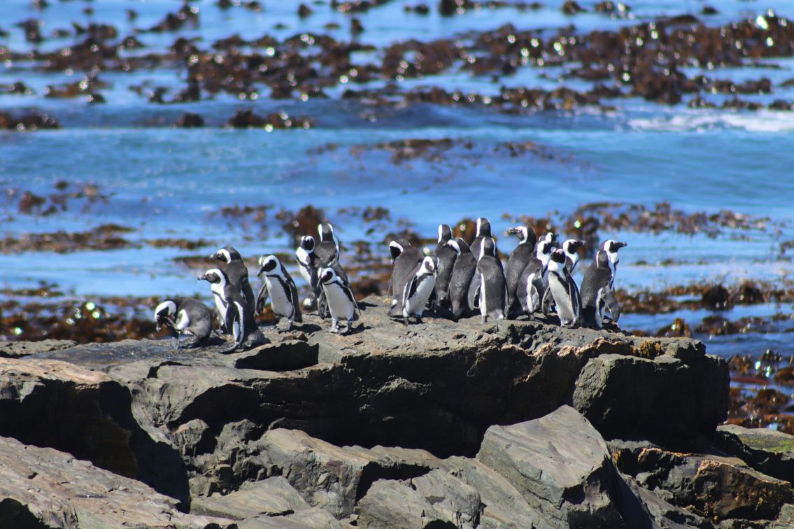 Robben Island