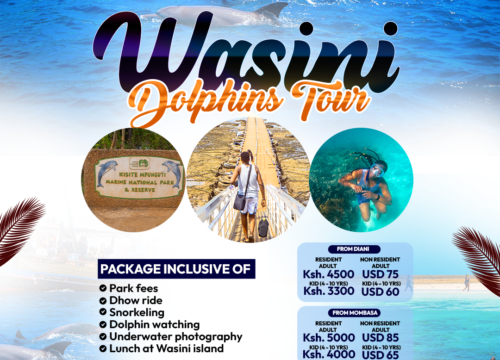 Wasini Dolphin’s Tour