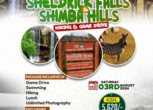 Sheldrick Falls & Shimba Hills