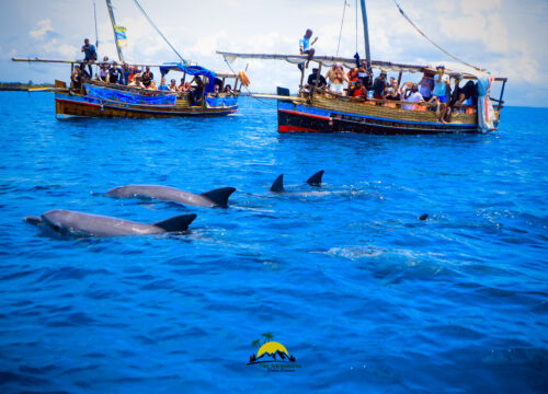 1. Kisite Mpunguti Marine Park: Wasini Island, Kwale County