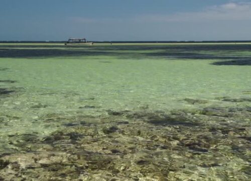 4. Malindi Marine National Reserve: Malindi, Kilifi County